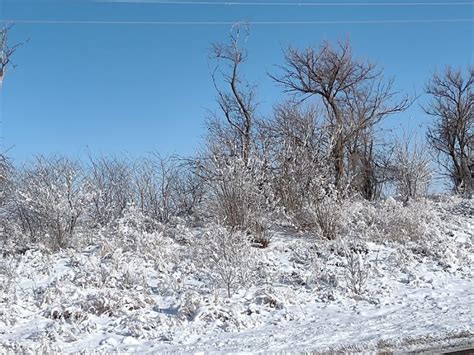 How much snow has fallen in Kansas?