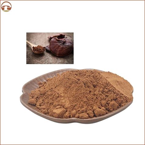 High Performance Polysaccharide Reishi Mushroom Powder Ganoderma