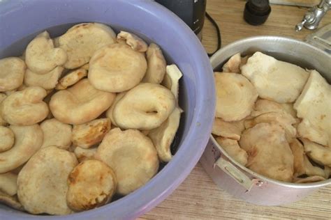 Соленые грузди. Два способа. | Food, Food and drink, Cooking