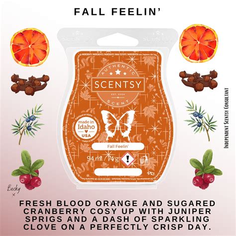 Fall Feelin Scentsy Bar The Candle Boutique Scentsy Uk Consultant