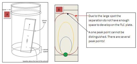 42 Thin Layer Chromatography Diagram Keeliemerna