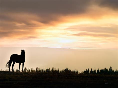 A Year Of Being Here Wendell Berry The Sorrel Filly