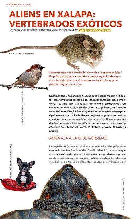 Artículos En Revistas De Divulgación Instituto De Biotecnología Y