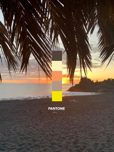 A full guide to the palette 22 arlington artistic experience 2