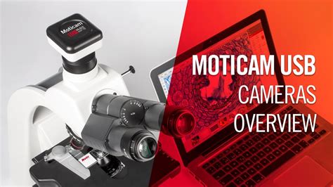 Moticam Usb Cameras Overview By Motic Europe Youtube