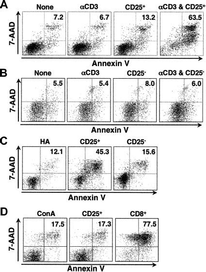 The Induction Of B Cell Apoptosis Is Specific To Activated Cd4 Cd25 T