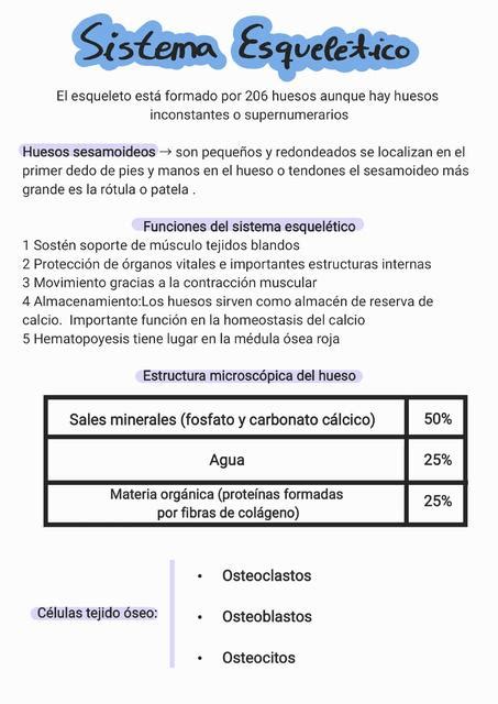 Sistema Esquelético Noelia Méndez Alonso uDocz