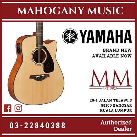 Yamaha FGX800C Dreadnought Cutaway Acoustic-Electric Guitar - Natural ...