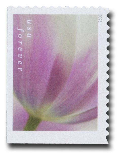 5782 - 2023 First-Class Forever Stamp - Tulip Blossoms: Lilac Tulip ...