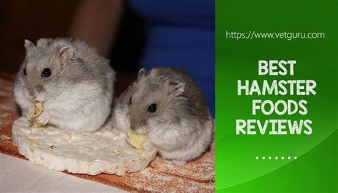 Top 5 Best Hamster Foods 2021