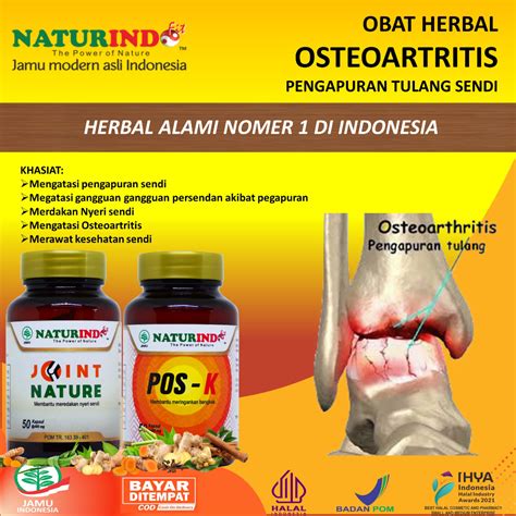 Jual Obat Osteoartritis Pengapuran Tulang Lutut Dan Sakit Sendi Untuk