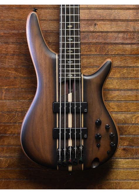 Ibanez 5 String Bass Guitar