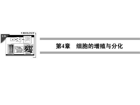 2013 2014学年高中生物4 1 1《细胞周期有丝分裂》课件浙科版必修1共53张pptword文档在线阅读与下载无忧文档