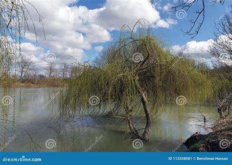 Marne River in Ile De France Stock Image - Image of marne, country ...