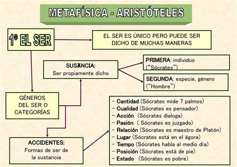 Esquema De Aristóteles ¡fotos And Guía 2021