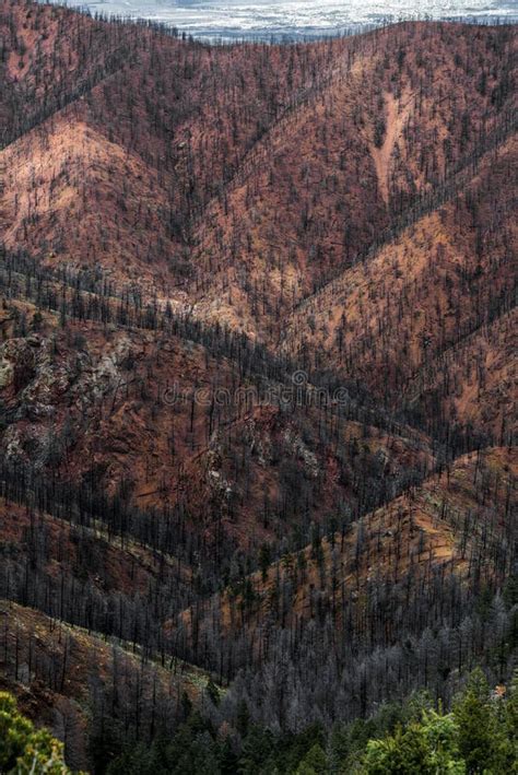 Waldo Canyon Fire Colorado Springs Stock Photo Image Of Forest Peaks