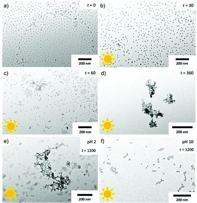 Naked Micelles Well Defined Polymer Nanoparticles From Photo Cleavable