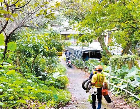 屈公病蔓延 北市萬華驚見首例 地方新聞 中國時報