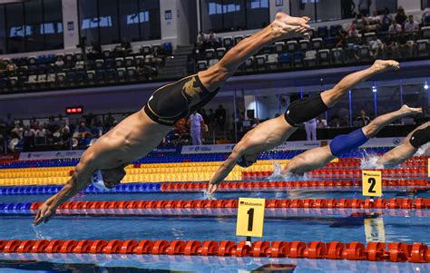 Quelles sont les origines de la natation