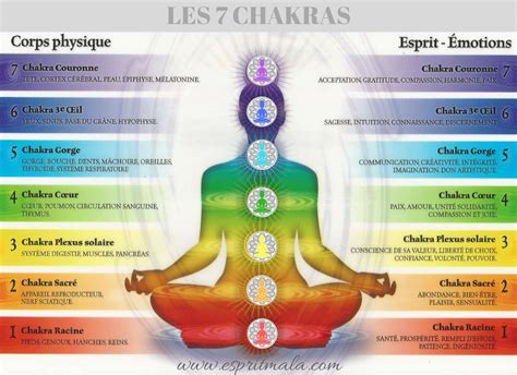 Les Chakras Et Leurs Rôles Pdf Les Chakras Et Leurs Rôles