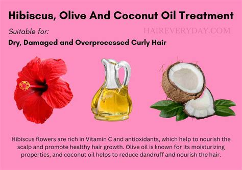 4 Diy Hibiscus Overnight Hair Masks For Dandruff Easy Recipes From A