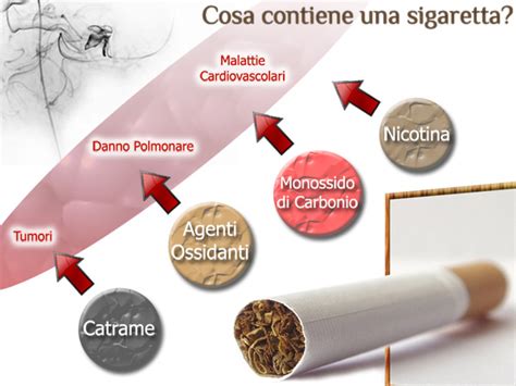 Fumo E Malattie Cardiovascolari