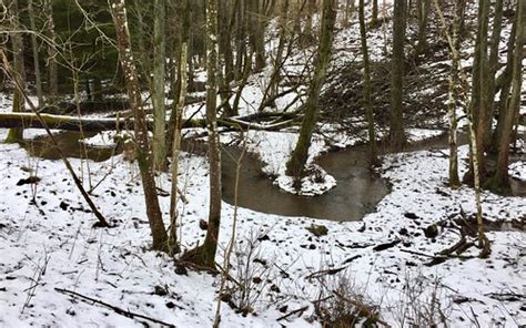 Winter Serpentine Stream Hans Nerstu Flickr