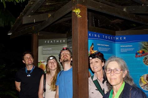 Cairns Night Walk In Cairns Botanic Gardens GetYourGuide