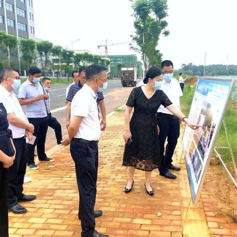 市政协副主席刘金文带队赴望城经开区调研联点重大项目 企业 发展 贝迪