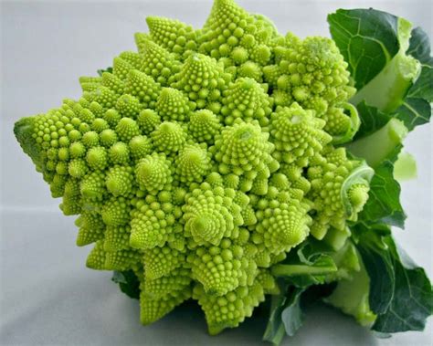 ROMANESCO BROCCOLI SEEDS Spiral Broccoli Pyramid Broccoli Organic Non ...