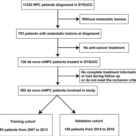 Flow Chart Of Patient Inclusion Download Scientific Diagram