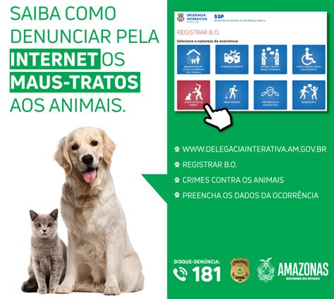 Boletim De Ocorr Ncia De Maus Tratos Contra Animais Pode Ser Registrado