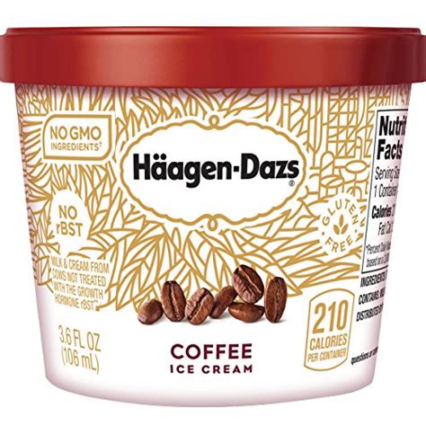 Ice Cream Best Haagen Dazs Coffee Chip Ice Cream