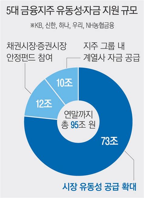 5대 금융지주 자금 95조 공급시중 돈줄 가뭄 해갈될까 네이트 뉴스