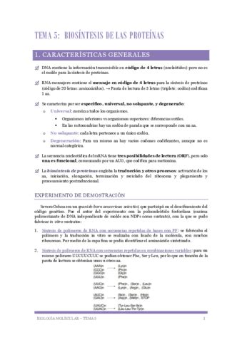 Biologia Molecular Tema 5 La Biosintesis De Proteinas Pdf