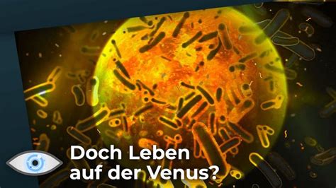 Doch Leben Auf Der Venus Ammoniak Macht Wolken Der Venus Bewohnbar