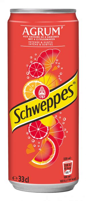 Schweppes agrum regular boîte 24x33cl Warlop Horeca Service