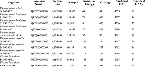 Draft Genome Sequences Of Pectobacterium And Dickeya Strains Isolated Download Scientific