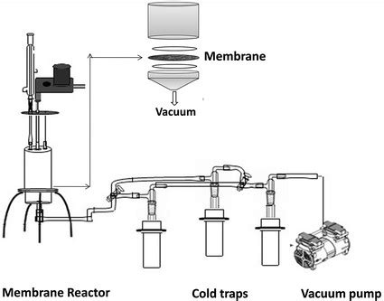 Pervaporation reactor | Download Scientific Diagram