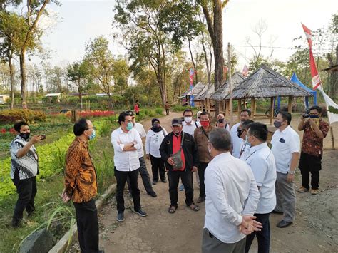 identifikasi sektor pangan  kmdh koperasi masyarakat desa hutan rizqi