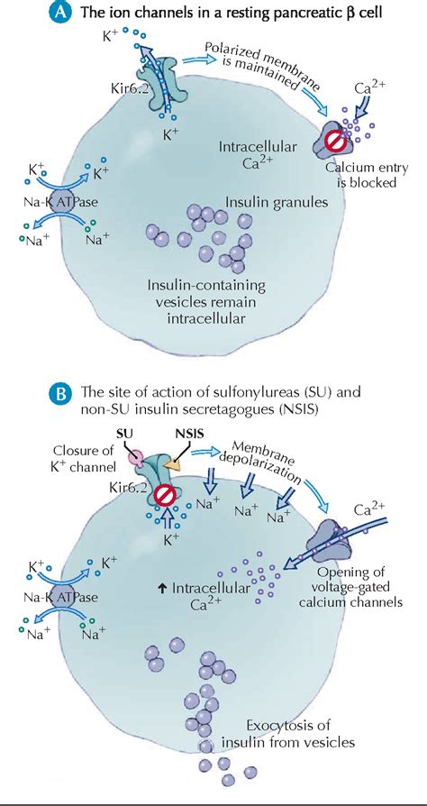 Figure 1 From Oral Antihyperglycemic Therapy For Type 2 Diabetes