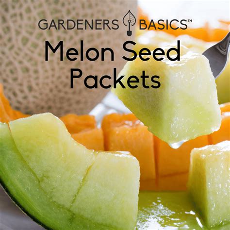 Top-Quality Melon Seeds For Sale: Start Your Homegrown Melons Today! – Gardeners Basics