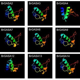 Predicted Three Dimensional Structures Of GASA Proteins In Chinese