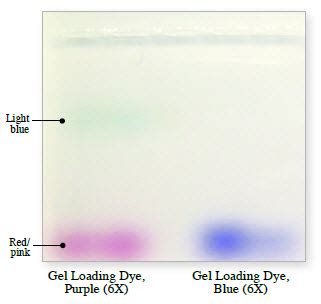 Dna Gel Loading Dye Neb New England Biolabs Amresco