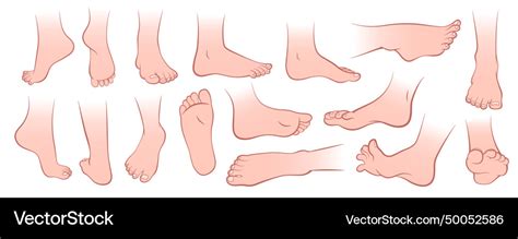 Multiple Naked Foot Positions Royalty Free Vector Image