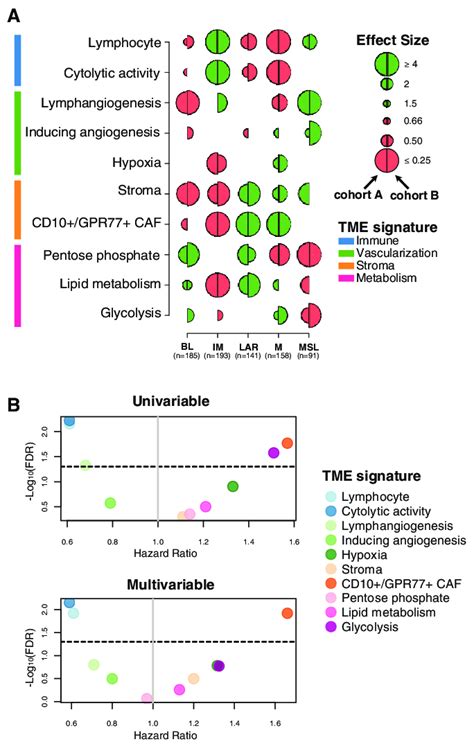 Tumor Microenvironment Tme Features Associated With Triple Negative