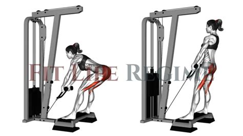 Cable Machine Workout A Beginners Guide To Strength Training