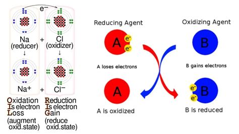 Oxidizing Agent - Definition, Factors, Applications, Examples - Biology ...