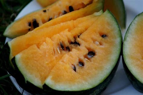 All About Orange Watermelons - Minneopa Orchards