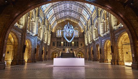 Hintze Hall Natural History Museum